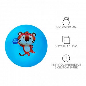 Мяч детский ZABIAKA, d=22 см, МИКС
