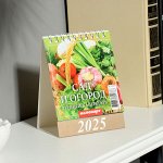 Календарь настольный, домик «Сад и огород. Лунный» 2025, 10x14 см