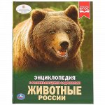 Книжка &quot;Умка&quot; Энциклопедия. Животные России , А4  19,7*25,5 см