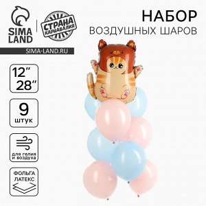Воздушные шары, букет «Котик в шапке», набор 9 шт.