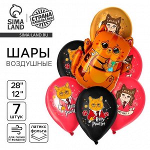 Шары воздушные, набор «Котик-волшебник», фольга 1 шт., латекс 6 шт.