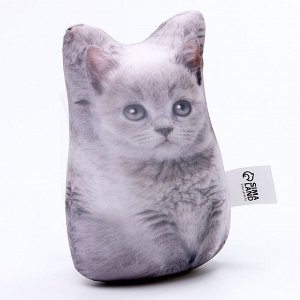 Антистресс игрушка «Котёнок серый»