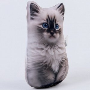 Антистресс игрушка «Котик Рэгдолл»