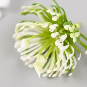 Искусственное растение для творчества «Вязель», набор 5 шт., 9x6x6 см