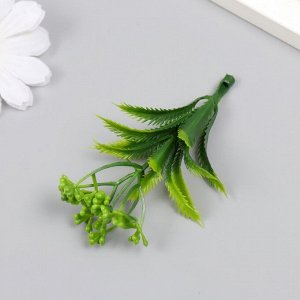 Искусственное растение для творчества «Араукария», набор 12 шт., зелёный, 9.5 см