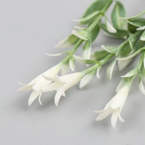 Искусственное растение для творчества «Гиппеастриум», набор 6 шт., белый, 11 см