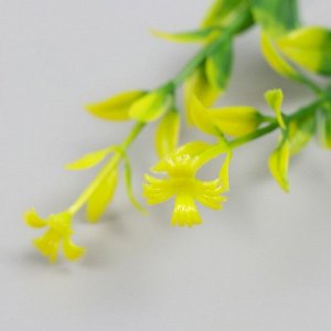 Искусственное растение для творчества "Иглица с цветками" набор 6 шт жёлтый 12,5 см