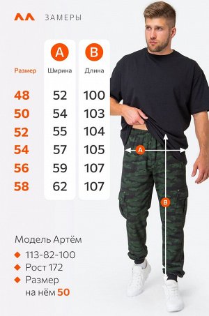 Мужские брюки из футера двухнитки Happyfox