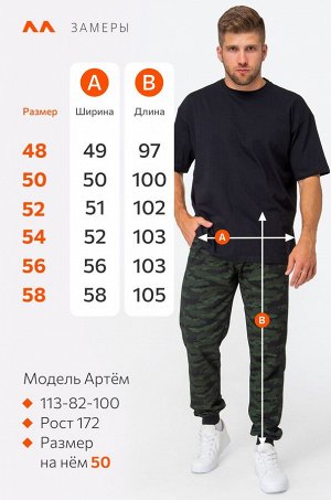 Мужские брюки из футера двухнитки Happyfox