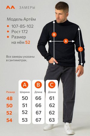 Мужской свитер с воротом-стойкой Happyfox