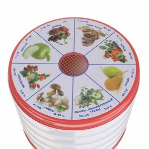 Сушилка для овощей и фруктов "Чудесница" СШ-006, 520 Вт, 5 ярусов, красно-белая