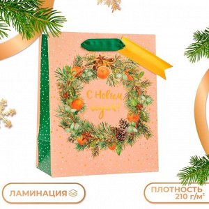 Пакет подарочный новогодний ламинированный «С новым годом!», люкс, 18x22.3x10 см