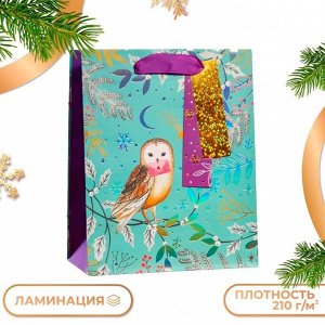 Пакет подарочный новогодний ламинированный «Зимняя совушка», люкс 18x22.3x10 см