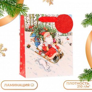 Пакет подарочный новогодний ламинированный «На санях», люкс, 18x22.3x10 см