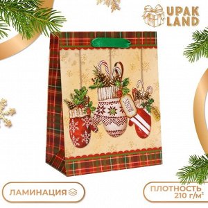 Пакет подарочный новогодний ламинированный «Варежки»,18x23x10 см