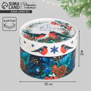 Коробка подарочная «Зима», 12 х 8 см