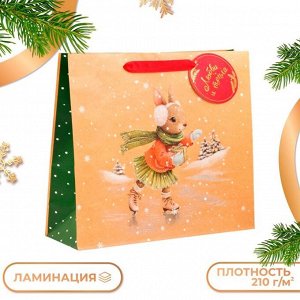 Пакет подарочный новогодний ламинированный «Зайка на льду», люкс, 36x32x12 см