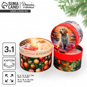Набор коробок 3 в 1 «С Новым годом!», 16 х 10, 14 х 9, 13 х 8.5 см