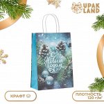 Пакет бумажный подарочный новогодний крафт &quot;Шишки в снегу&quot; 18 х 8 х 25 см. Новый год