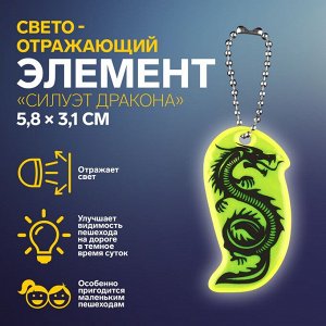 Светоотражающий элемент «Силуэт дракона», двусторонний