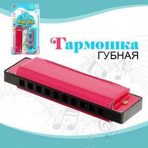 СИМА-ЛЕНД Губная гармошка «Гармоника», с металлическим корпусом и футляром, цвета МИКС