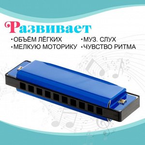 СИМА-ЛЕНД Губная гармошка «Гармоника», с металлическим корпусом и футляром, цвета МИКС