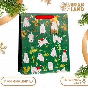 Пакет подарочный новогодний ламинированный «Новогодние котики», люкс 26x32x12 см