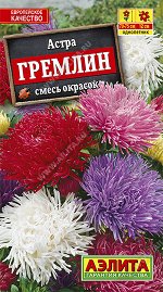 Астра Гремлин, смесь окрасок (2023; 50.228.15)