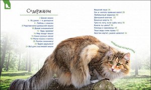Кошки и котята (Первая энциклопедия)