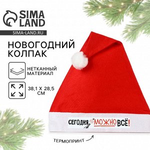 Колпак новогодний «Новый год: Сегодня можно всё!», диаметр 28 см