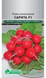 Редис Сарита F1 (раннеспелый) (0,5 гр)