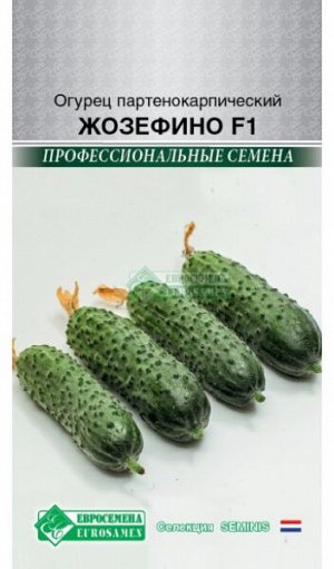 Огурец партенокарпик Жозефино F1 (5 шт)