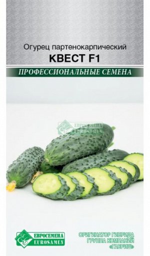Огурец партенокарпик Квест F1 (5 шт)