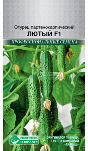 Огурец партенокарпик Лютый F1 (5 шт)
