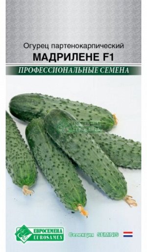 Огурец партенокарпик Мадрилене F1 (5 шт)