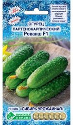 Огурец партенокарпик Реванш F1 (5 шт)