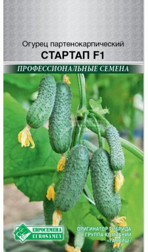 Огурец партенокарпик Стартап F1 (5 шт)
