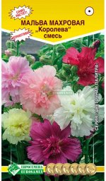 Мальва махровая КОРОЛЕВА СМЕСЬ (20шт)