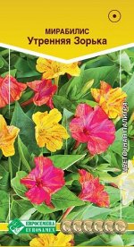 Мирабилис ялапа Утренняя Зорька (2 гр)