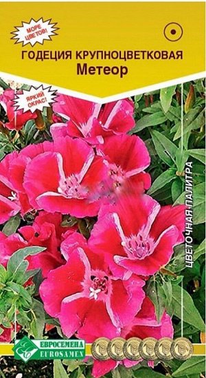 Годеция МЕТЕОР (крупноцветковая) (0,3 гр)