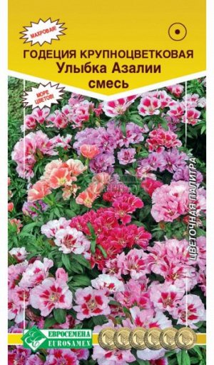 Годеция Улыбка Азалии, смесь (крупноцветковая) (0,3 гр)