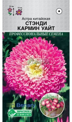Астра Стэнди Кармин Уайт (китайская) (10 шт) /Benary