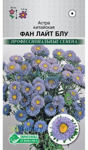 Астра Фан Лайт Блу (китайская) (10 шт)