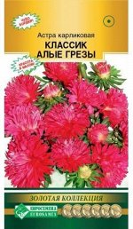 Астра КЛАССИК Алые Грезы (карликовая) (0,1 гр)