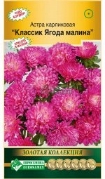 Астра КЛАССИК Ягода малина (карликовая) (0,1 гр)