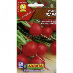 Редис Жара (Аэлита)