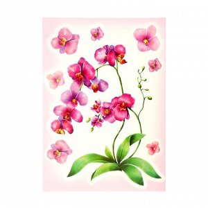 Наклейки Decoretto "Акварельная орхидея" 35х50 см