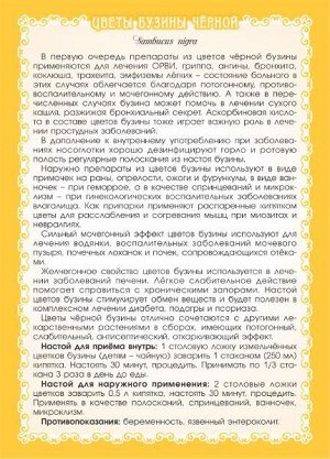 Бузина чёрная цвет. Помощь при кашле, бронхите, повышает защитные силы организма.