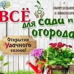 Садим и Огородим. Оформляем Загородное Пространство