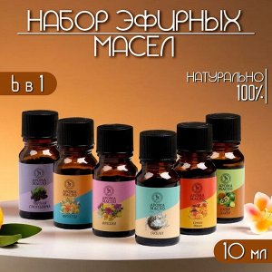 Эфирное масло, набор (6 в 1), по 10 мл "Богатство Аромата" №5